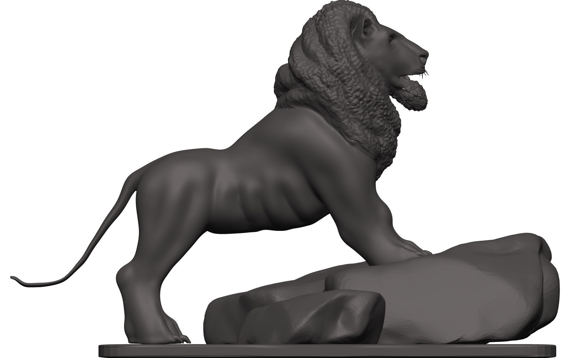 Lionn lion on rock 3D model_7