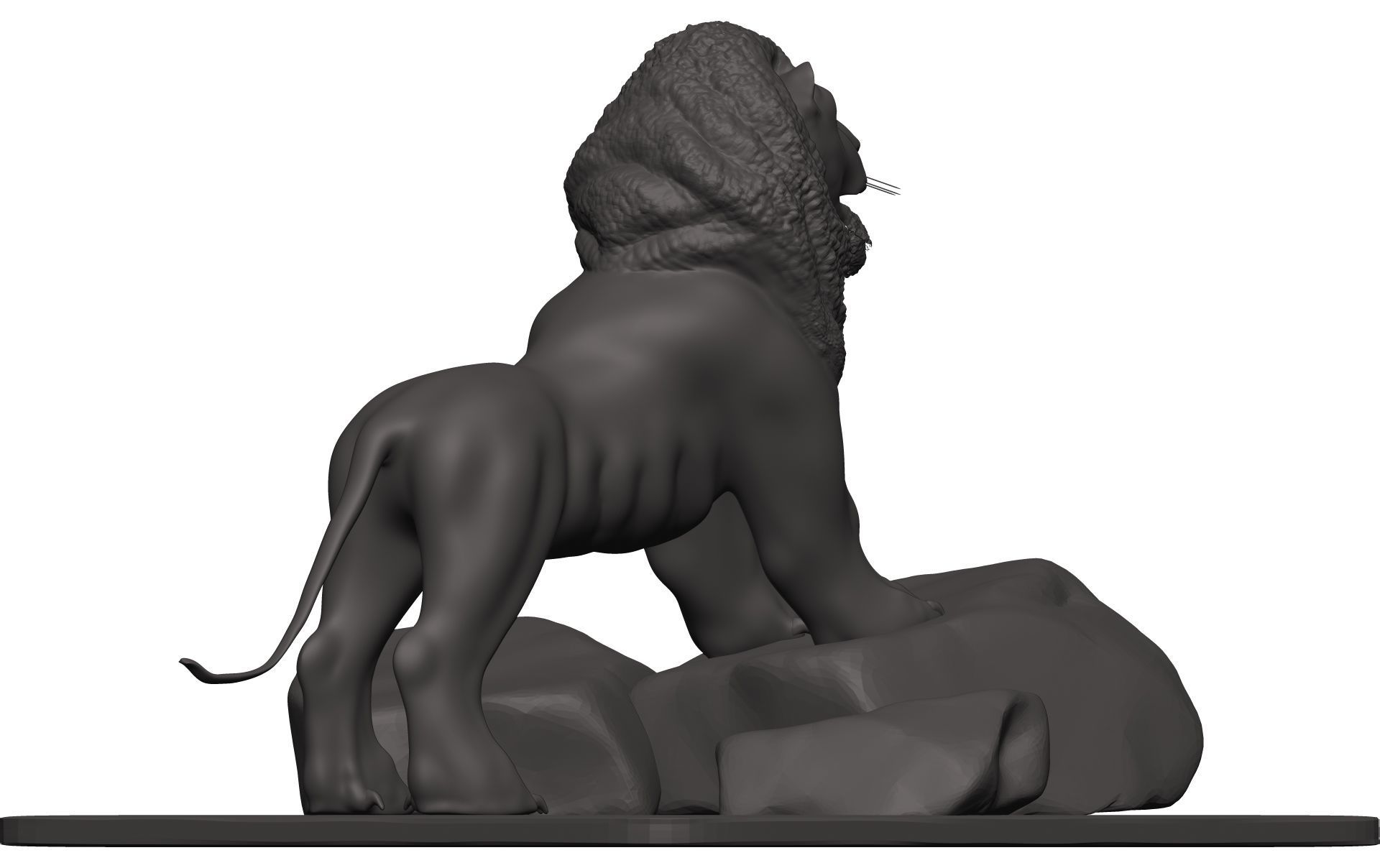 Lionn lion on rock 3D model_6