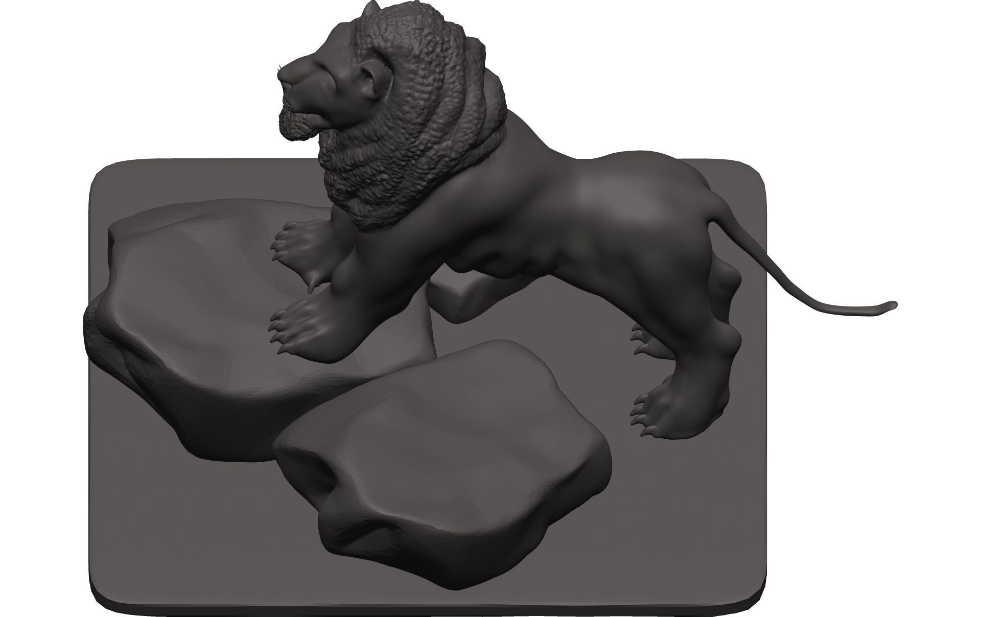 Lionn lion on rock 3D model_11