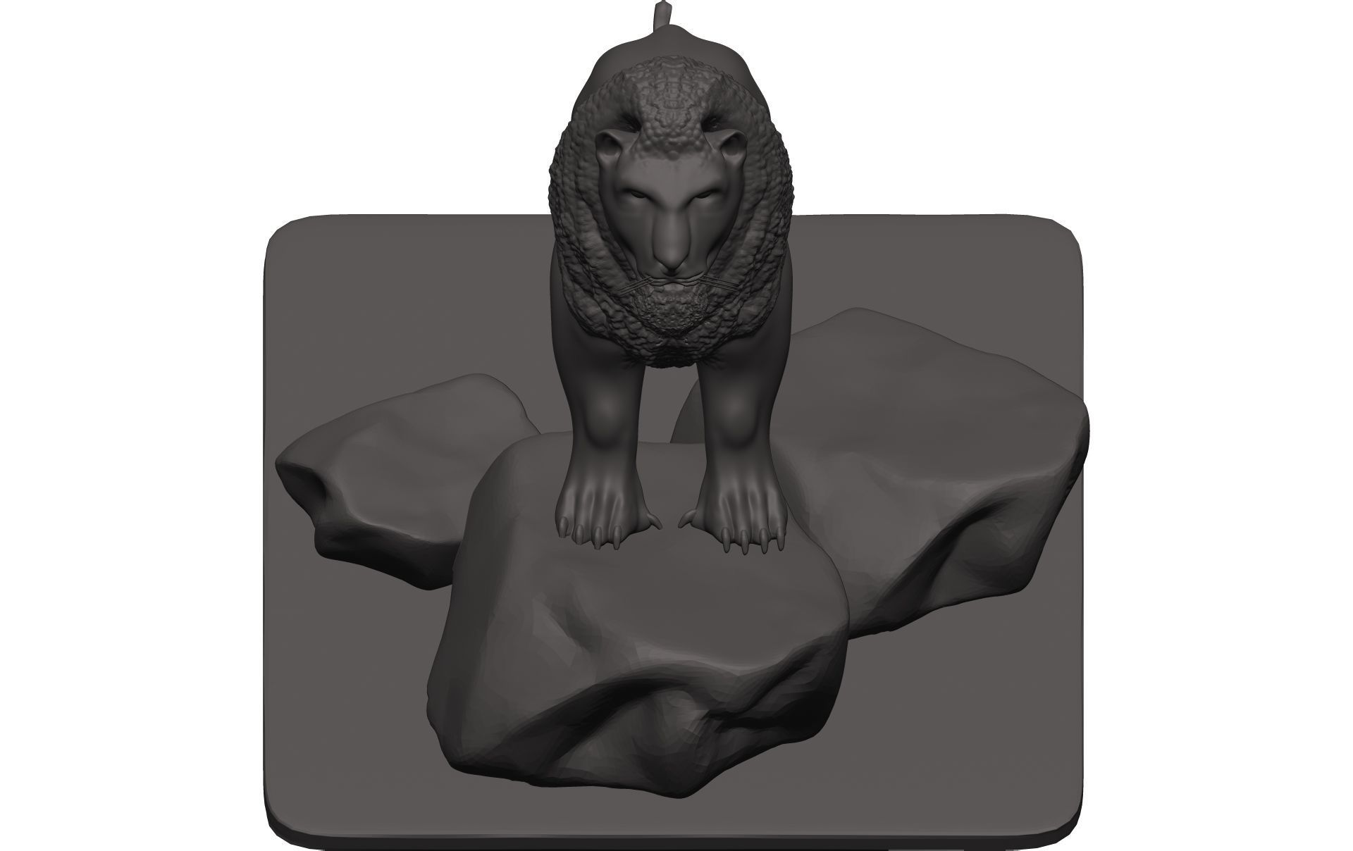 Lionn lion on rock 3D model_9