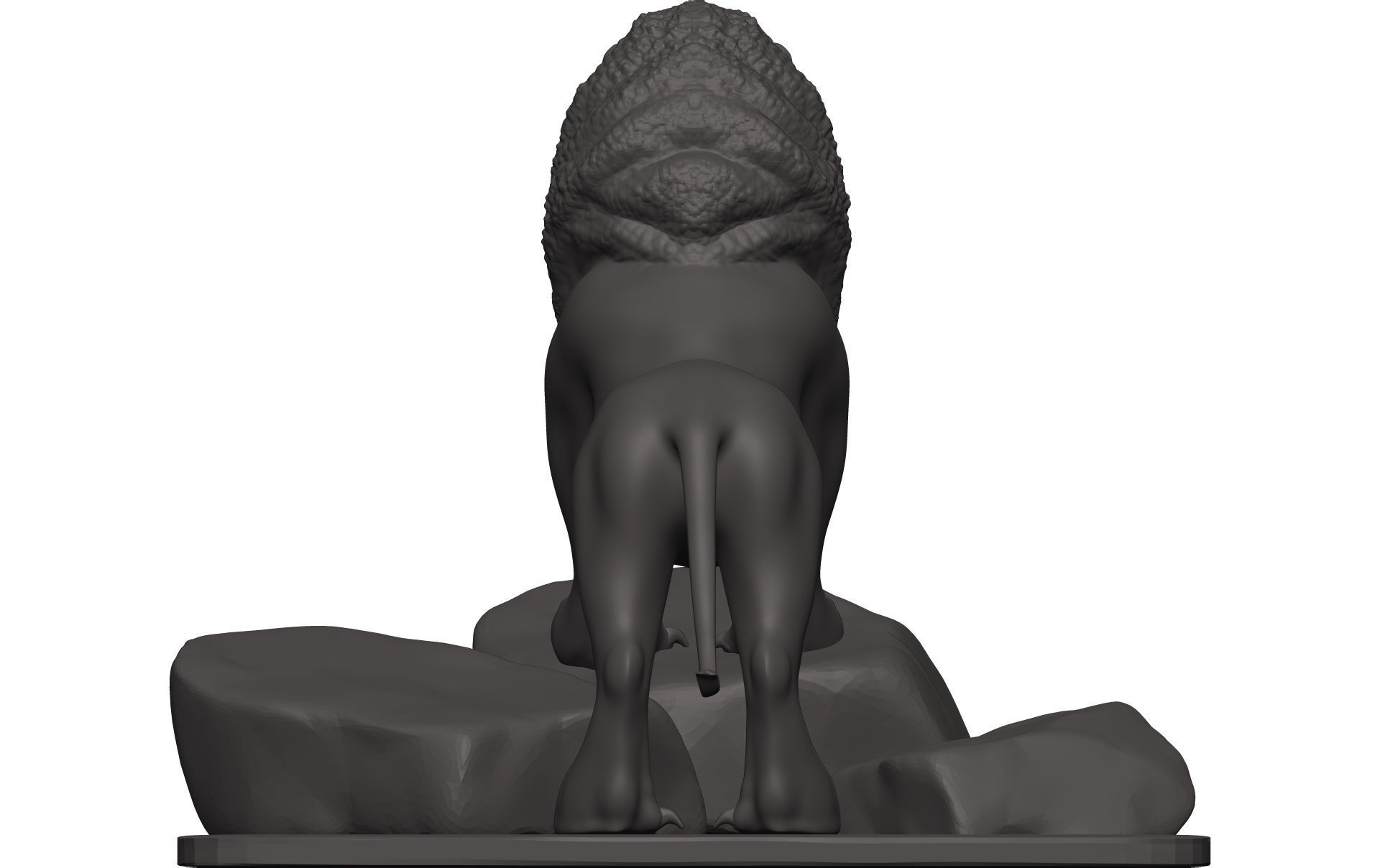 Lionn lion on rock 3D model_5