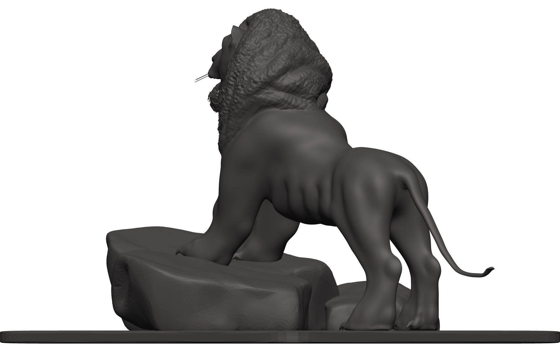 Lionn lion on rock 3D model_4