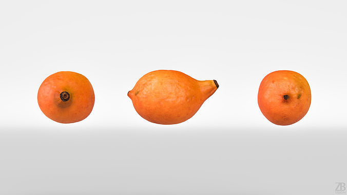 Achacha 3D model 5