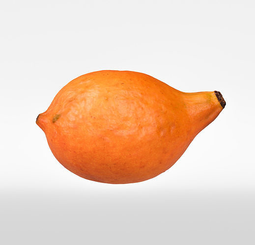 Achacha 3D model 6