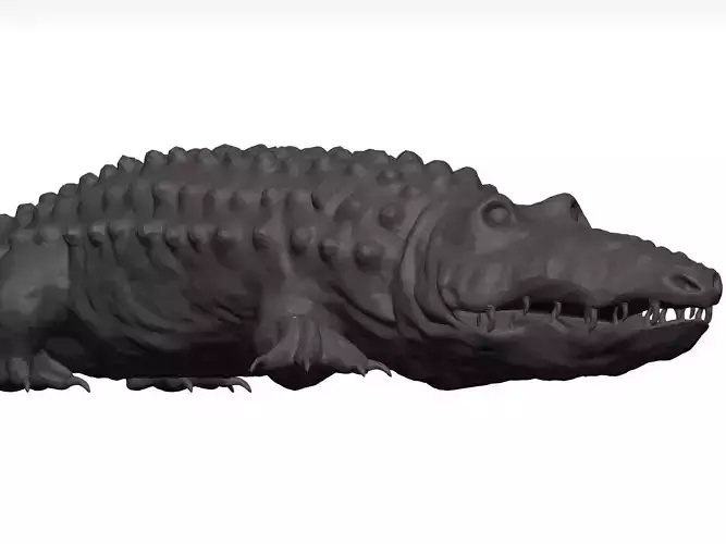 Alligator 3D model