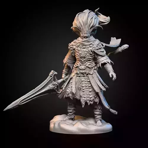 Nameless King 3D Print Model 3D print model