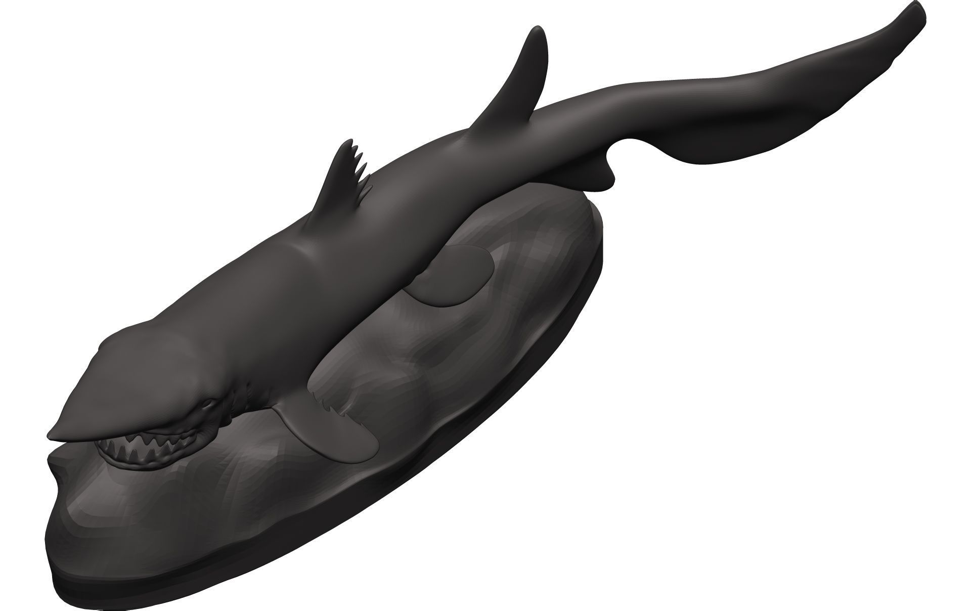 Goblin Shark 3D model_9
