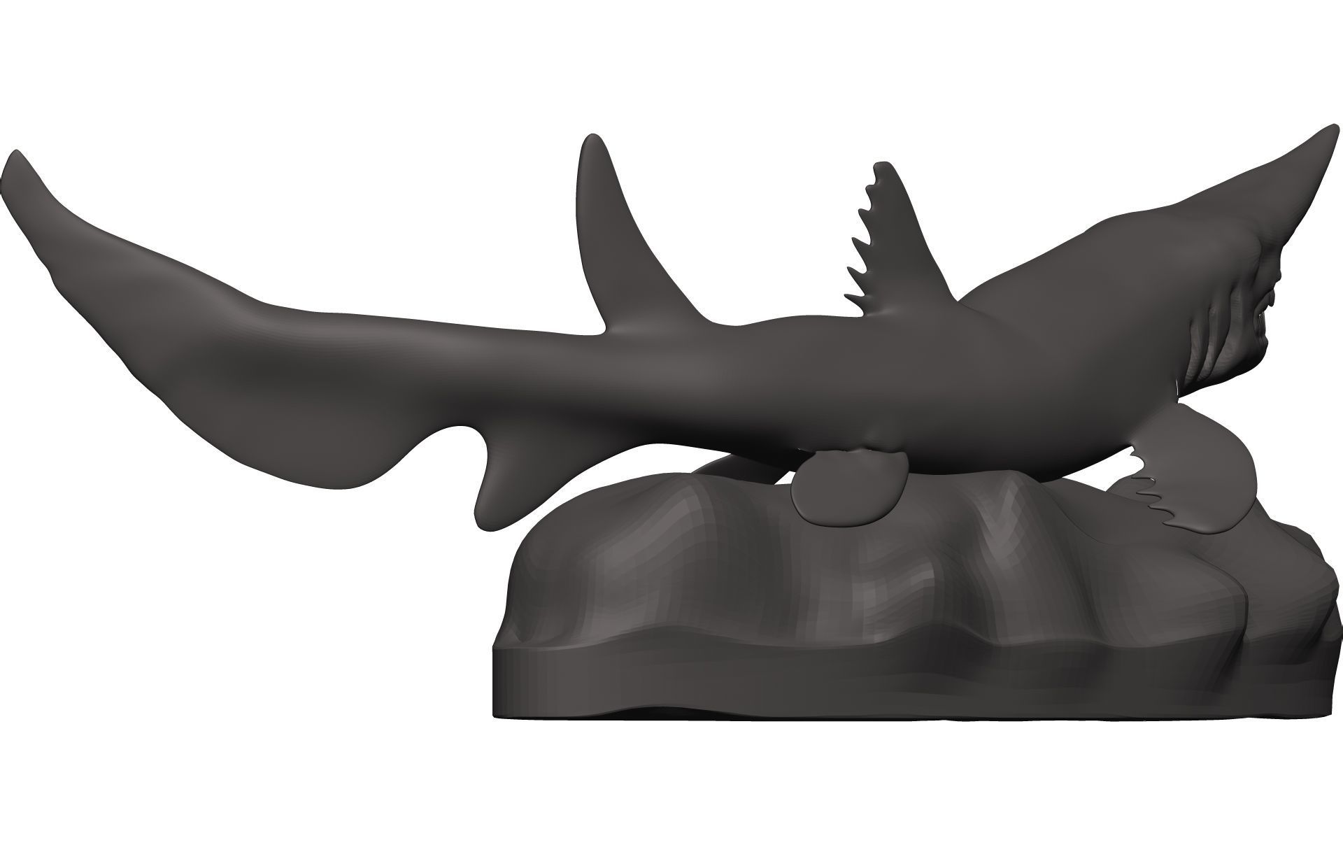 Goblin Shark 3D model_6