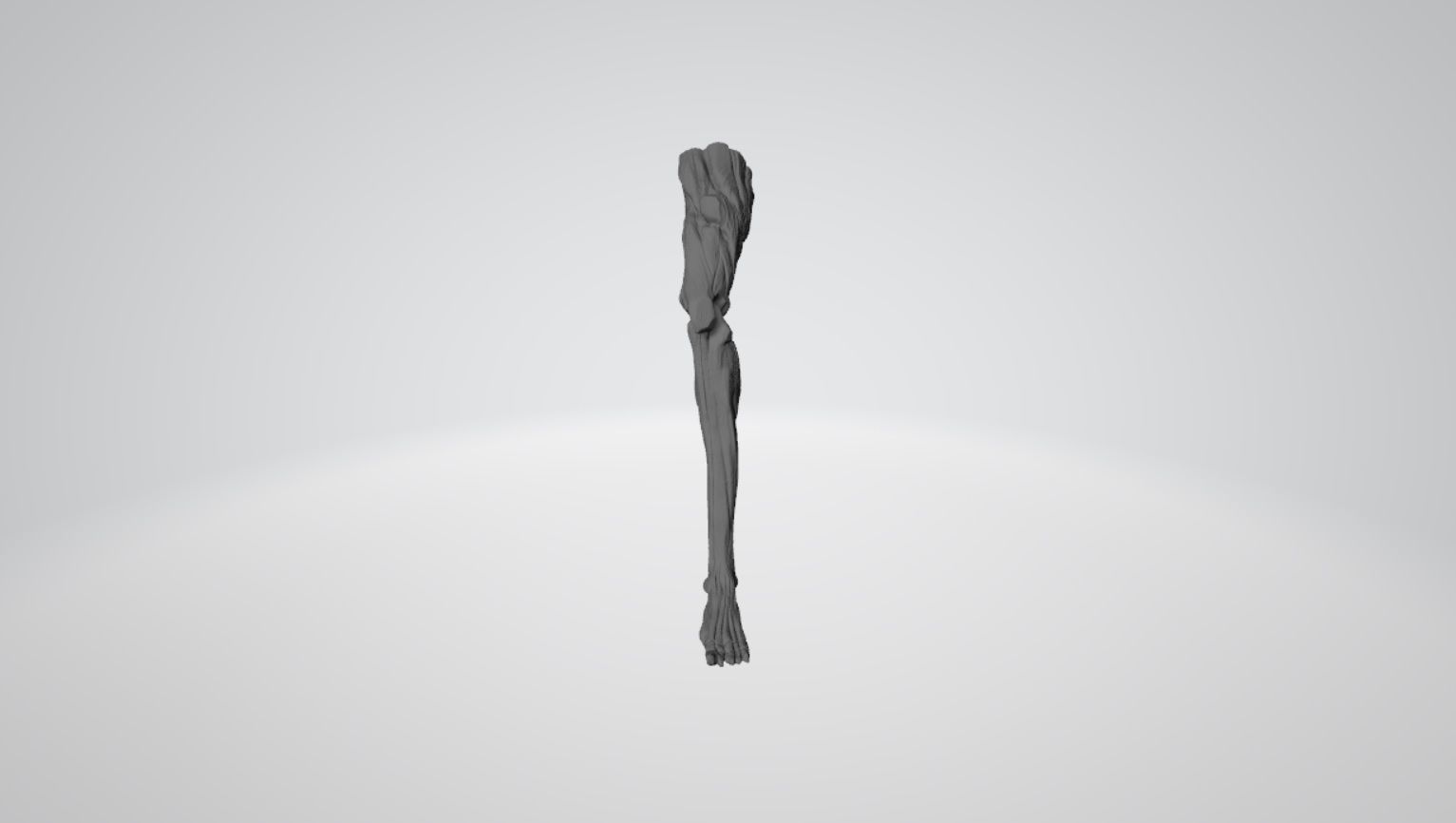 Gravelord Nito 3D Print Model 3D print model_6