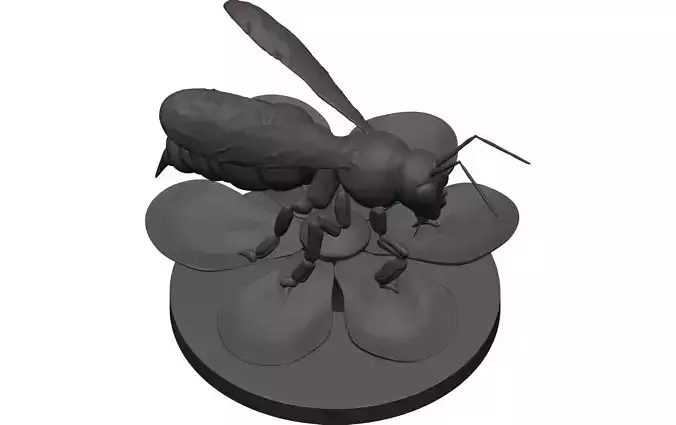 Bee-Bee bee 3D model