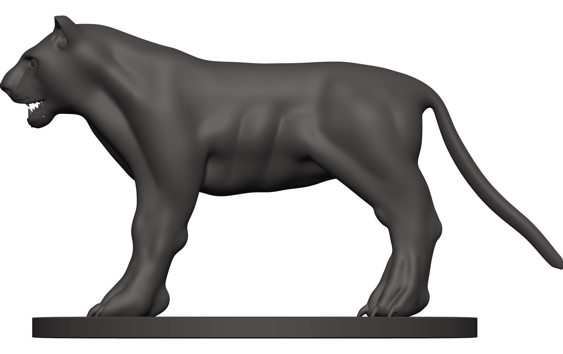 Leopard panther 3D model_3