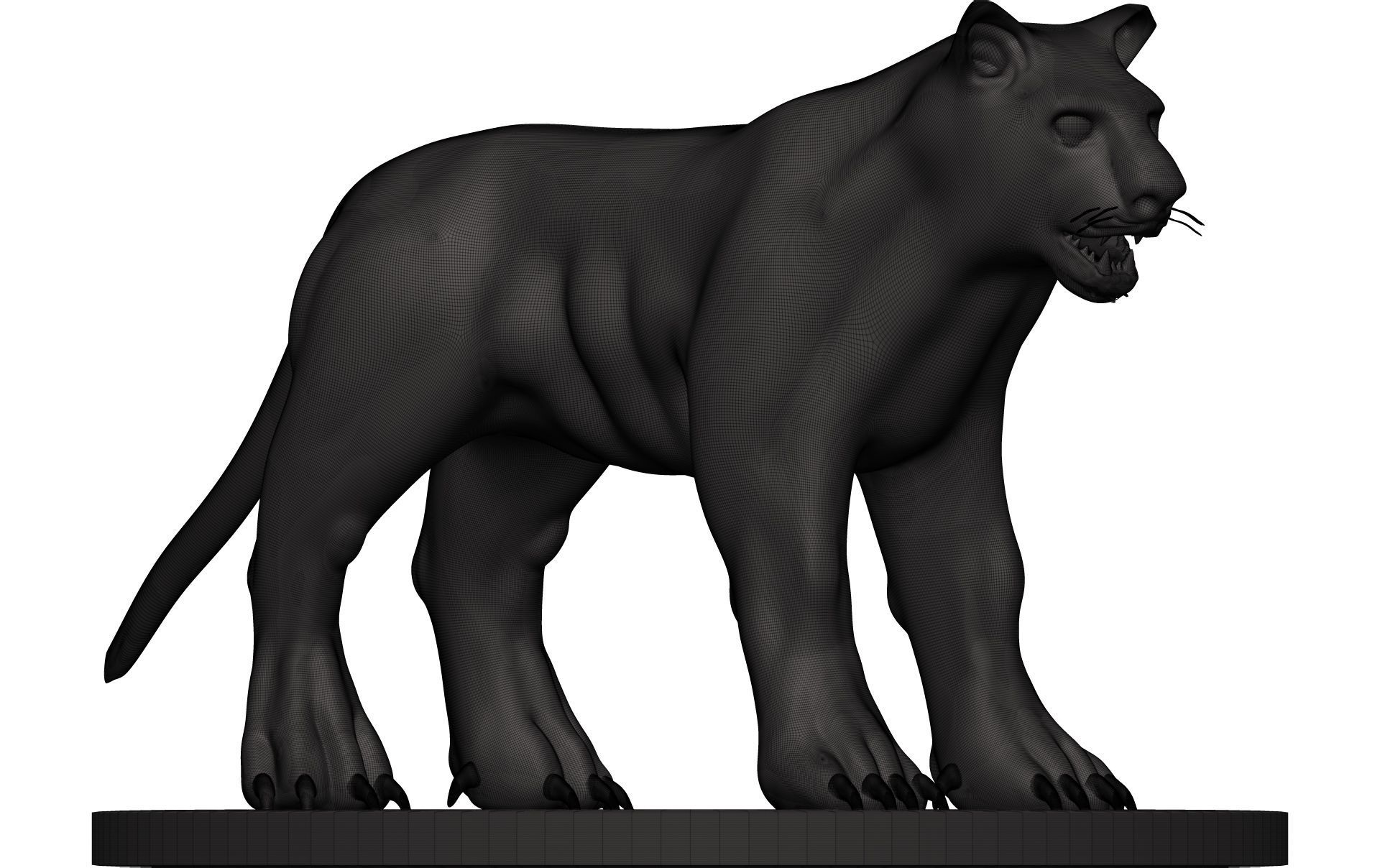 Leopard panther 3D model_10