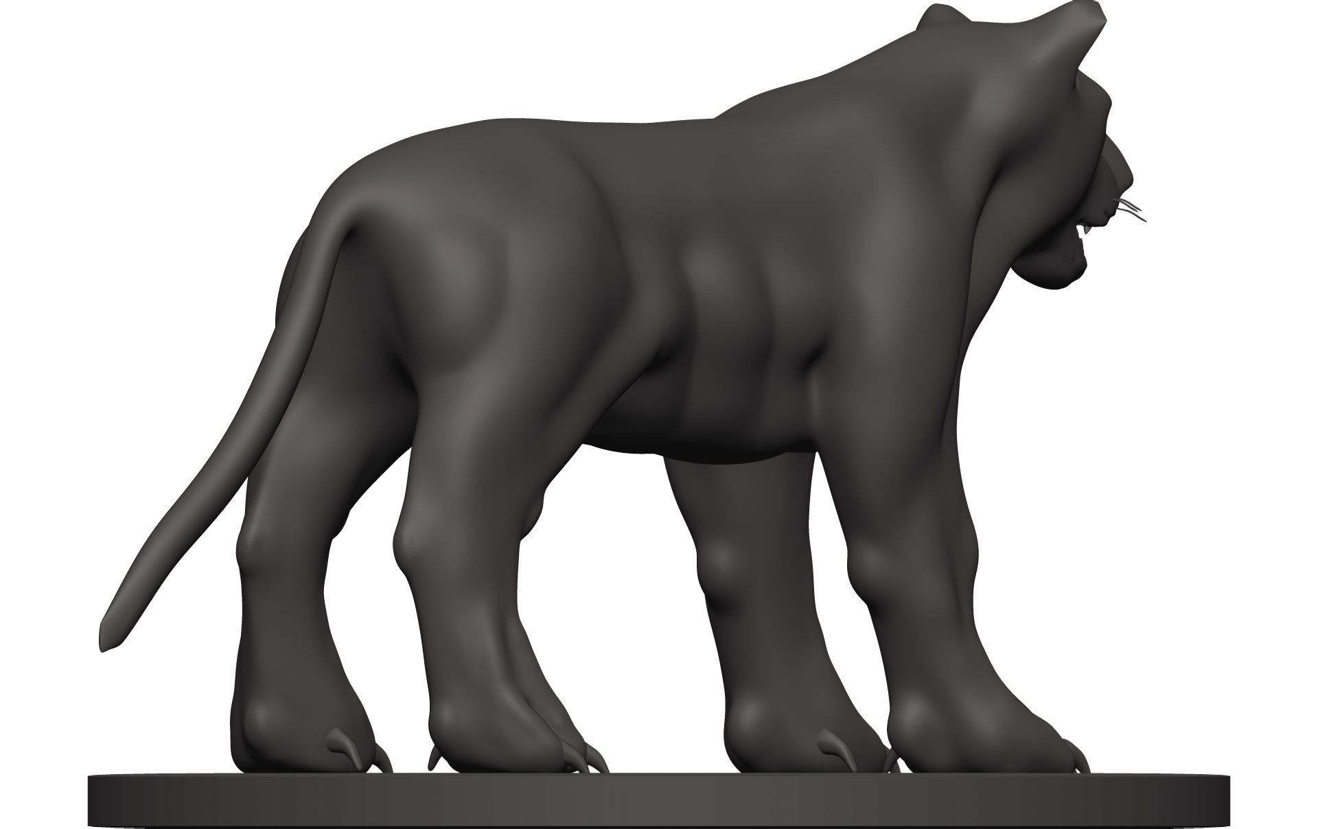 Leopard panther 3D model_6