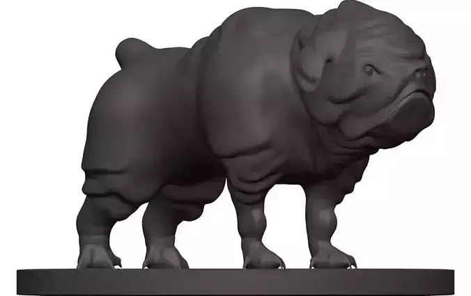Bulldog pug 3D model