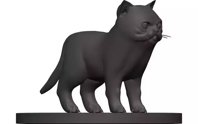 Cat-Cat cat 3D model