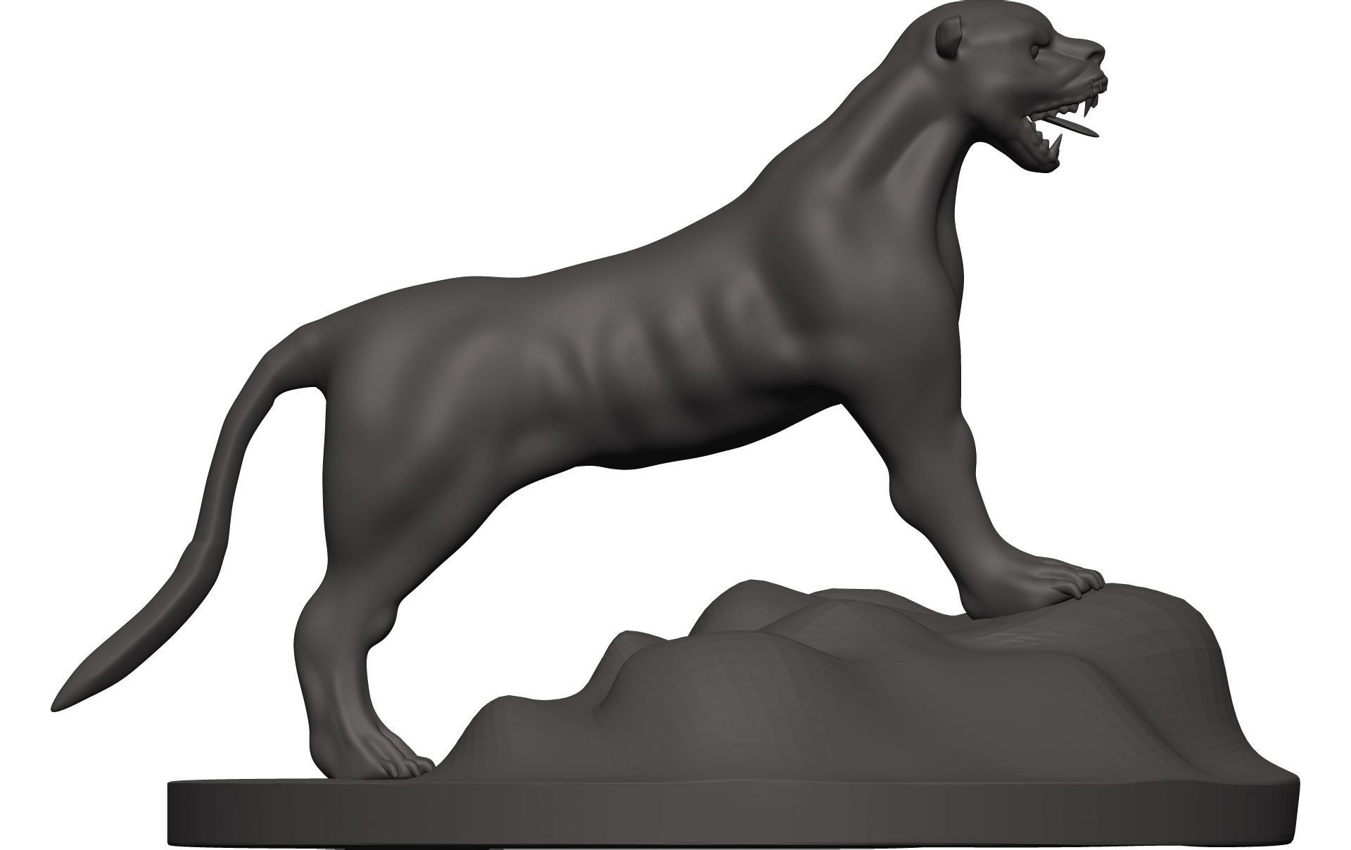 Florida Panther 3D model_7