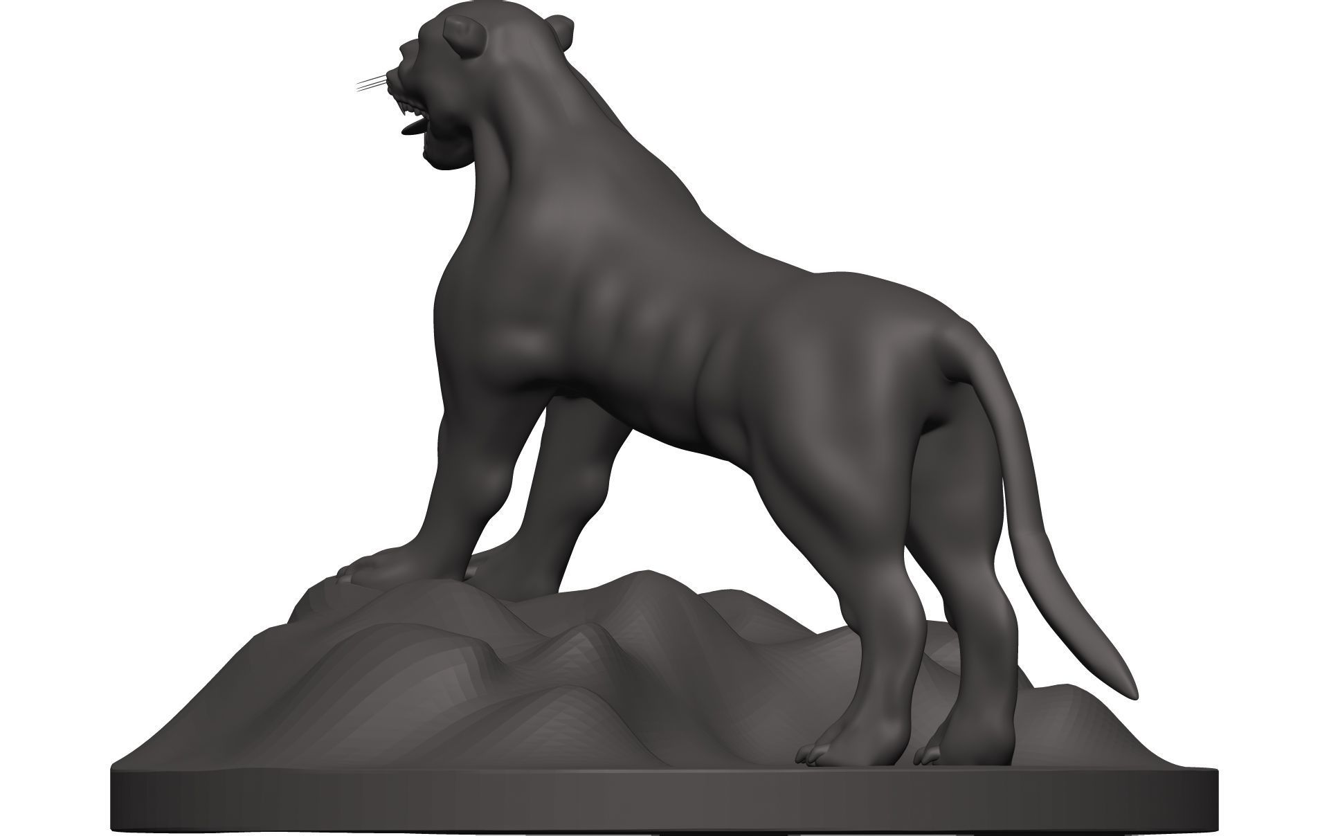 Florida Panther 3D model_4