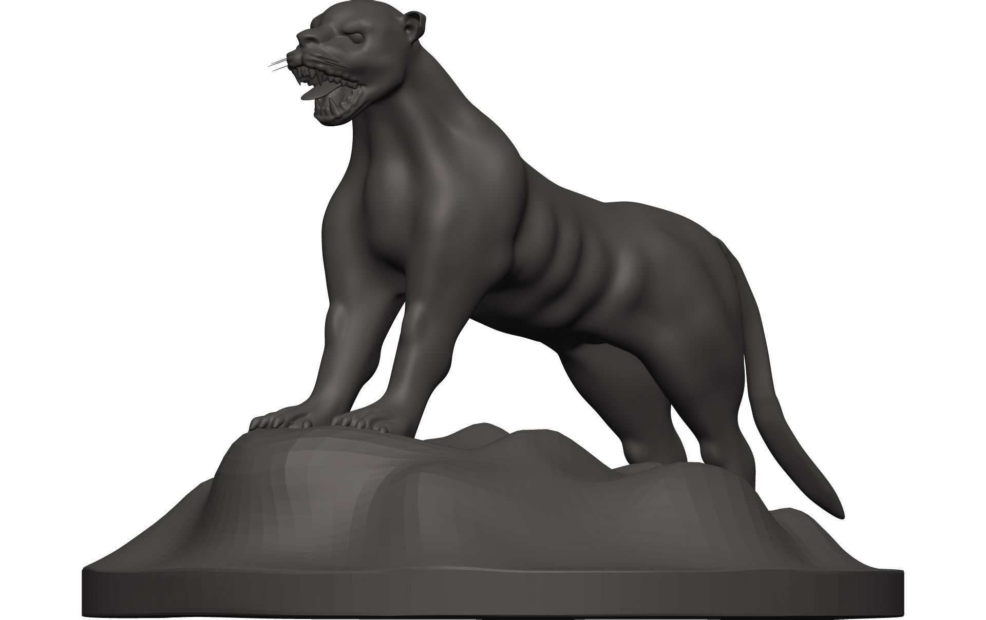 Florida Panther 3D model_2