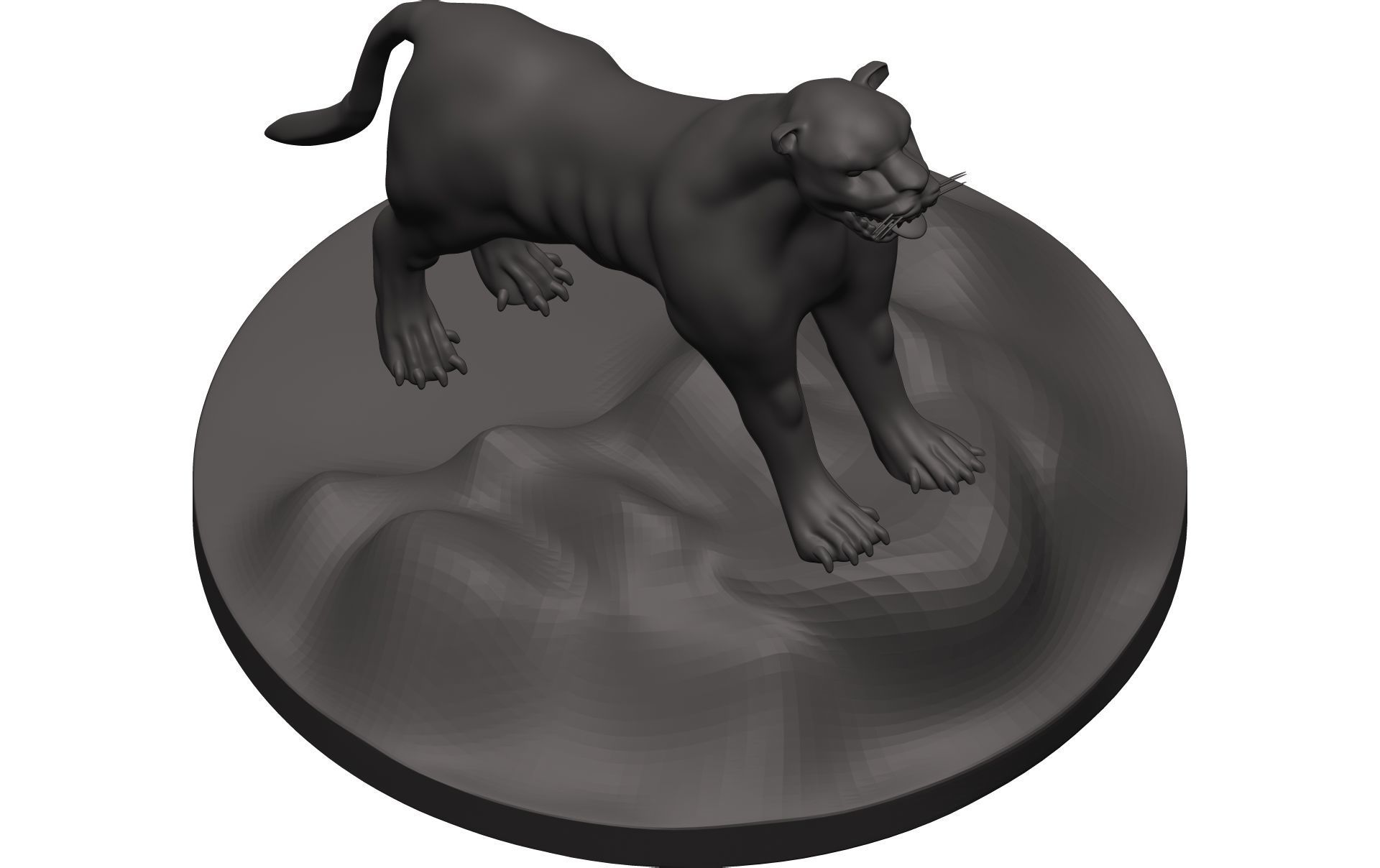 Florida Panther 3D model_8