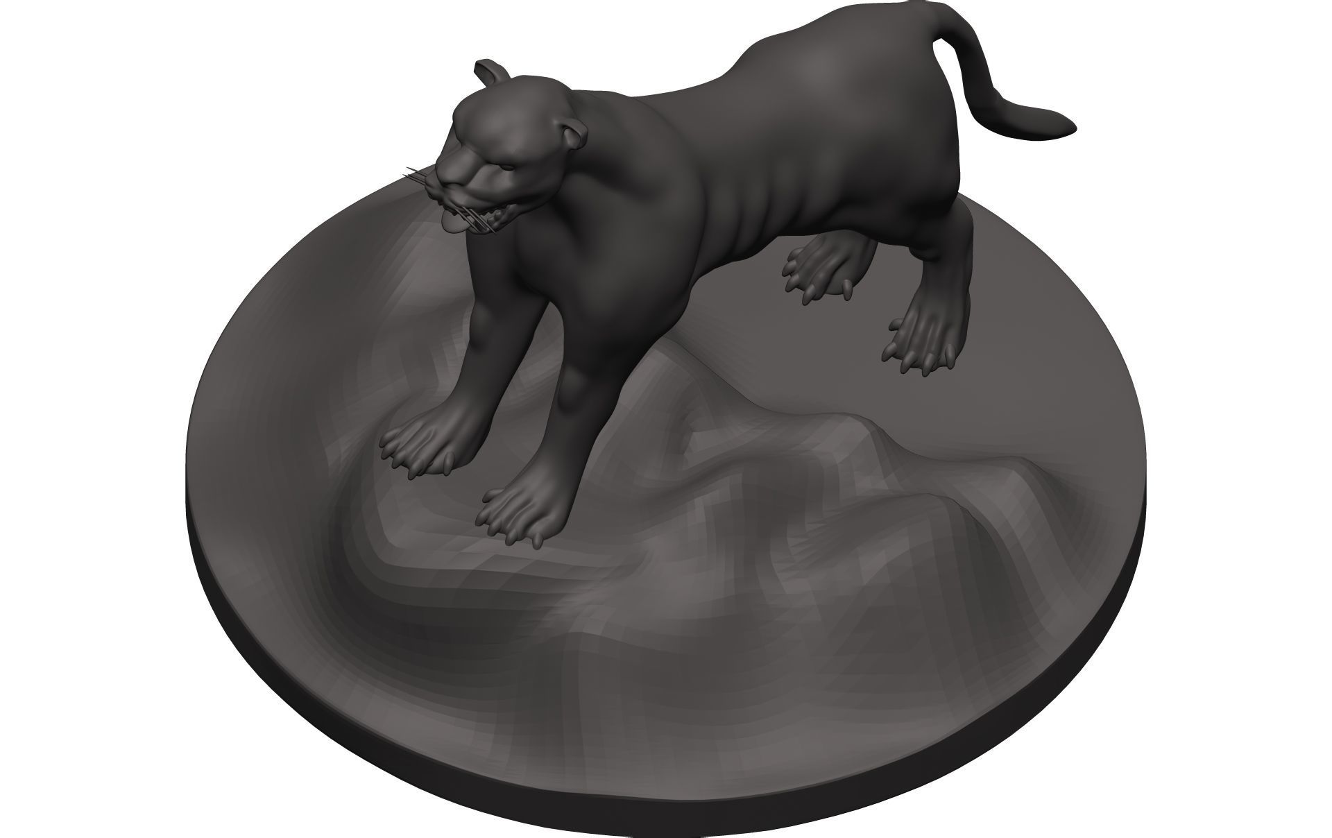 Florida Panther 3D model_9
