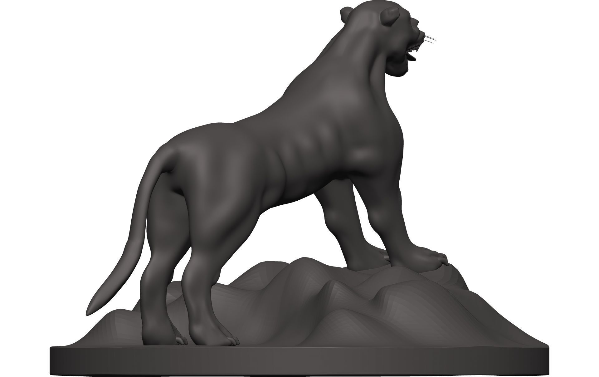 Florida Panther 3D model_6