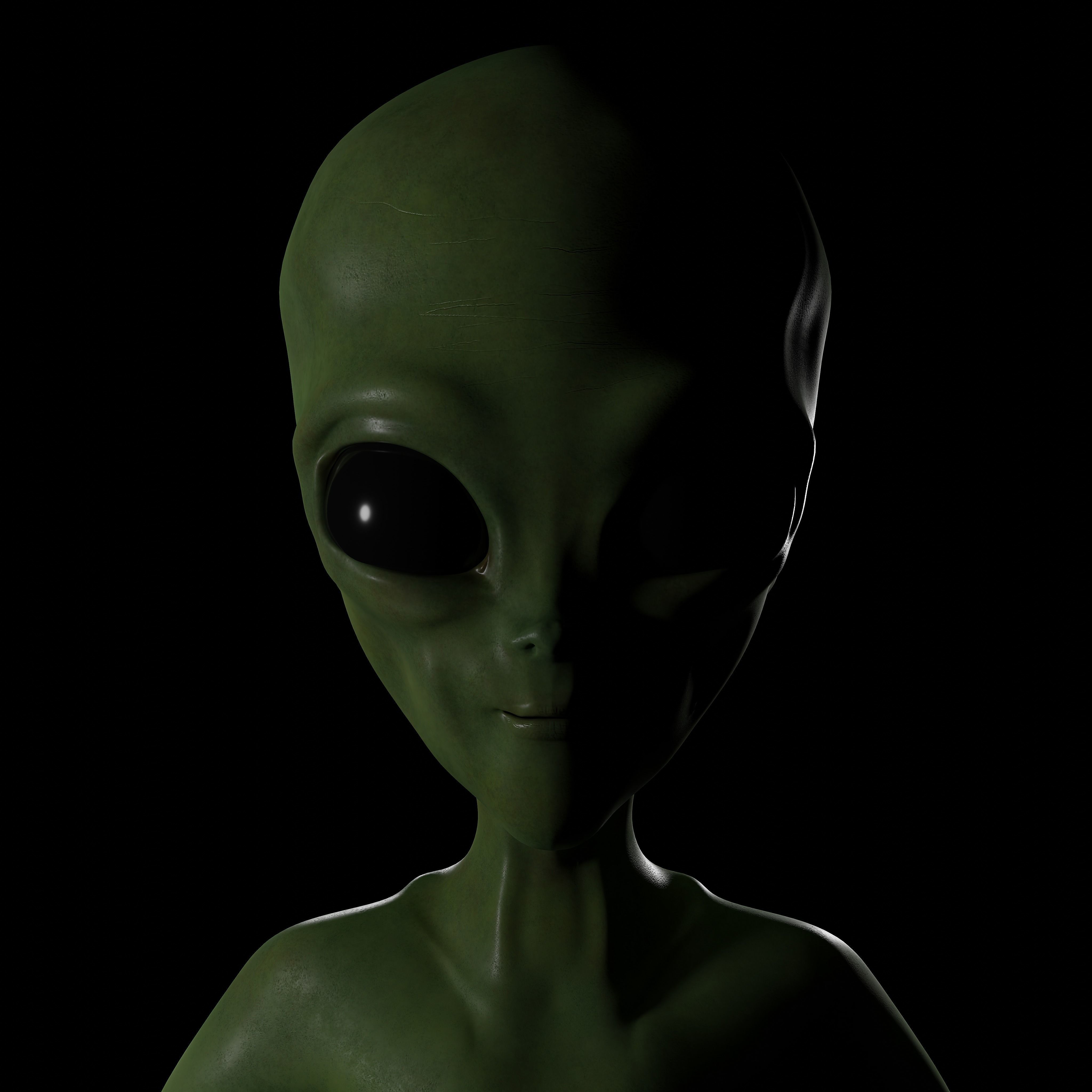 Realistic Alien 4k Rigged Low Poly Low-poly 3D model_5