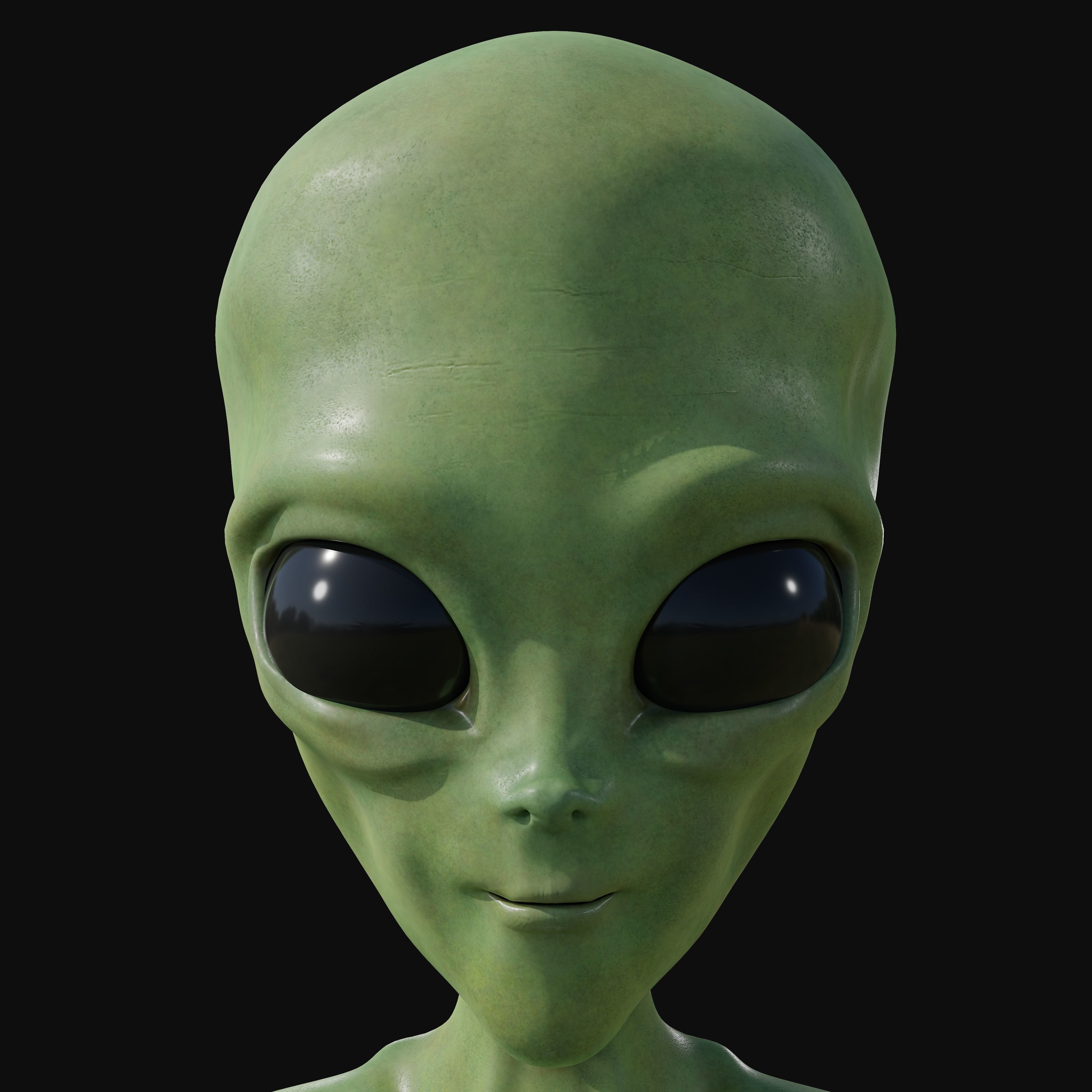 Realistic Alien 4k Rigged Low Poly Low-poly 3D model_1