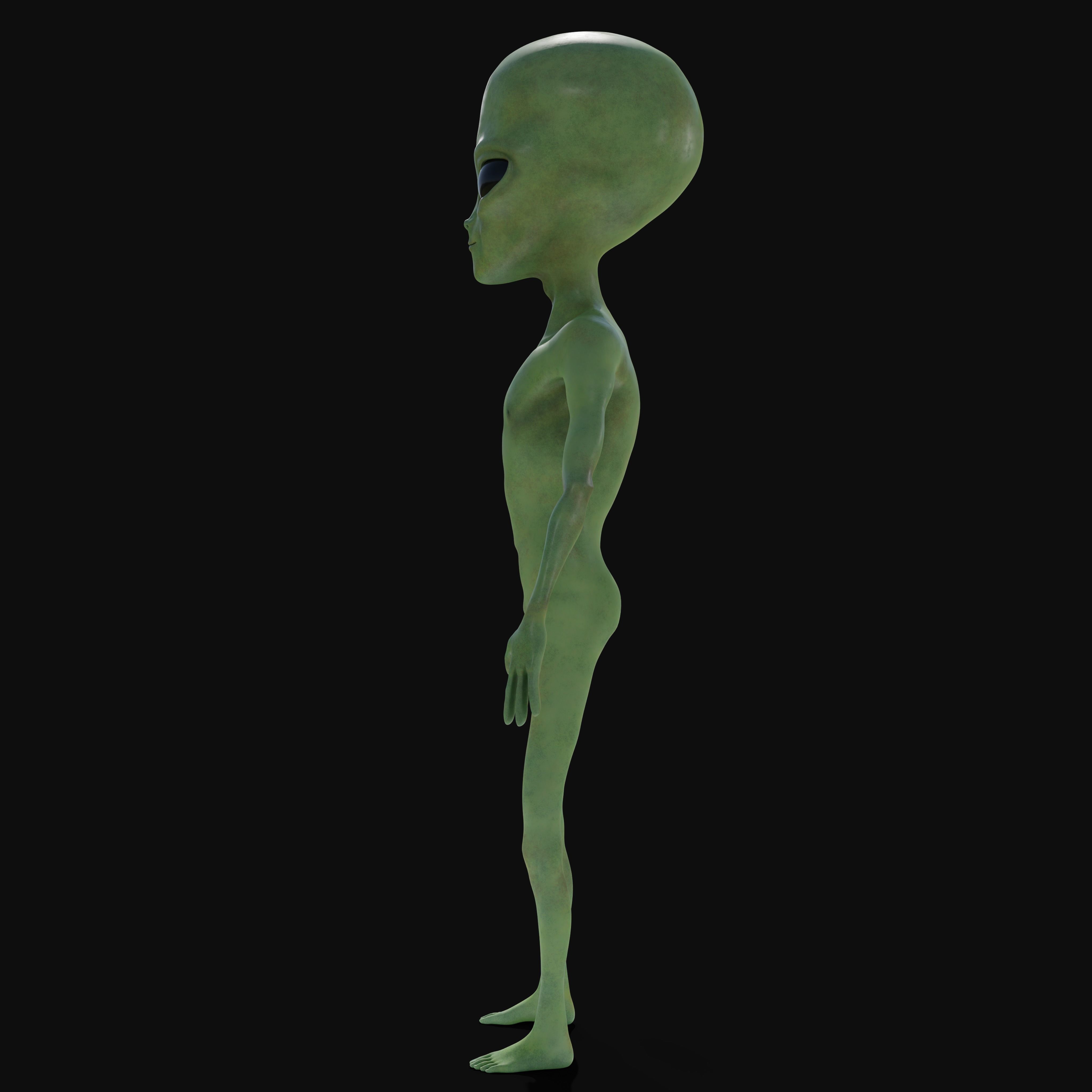 Realistic Alien 4k Rigged Low Poly Low-poly 3D model_2