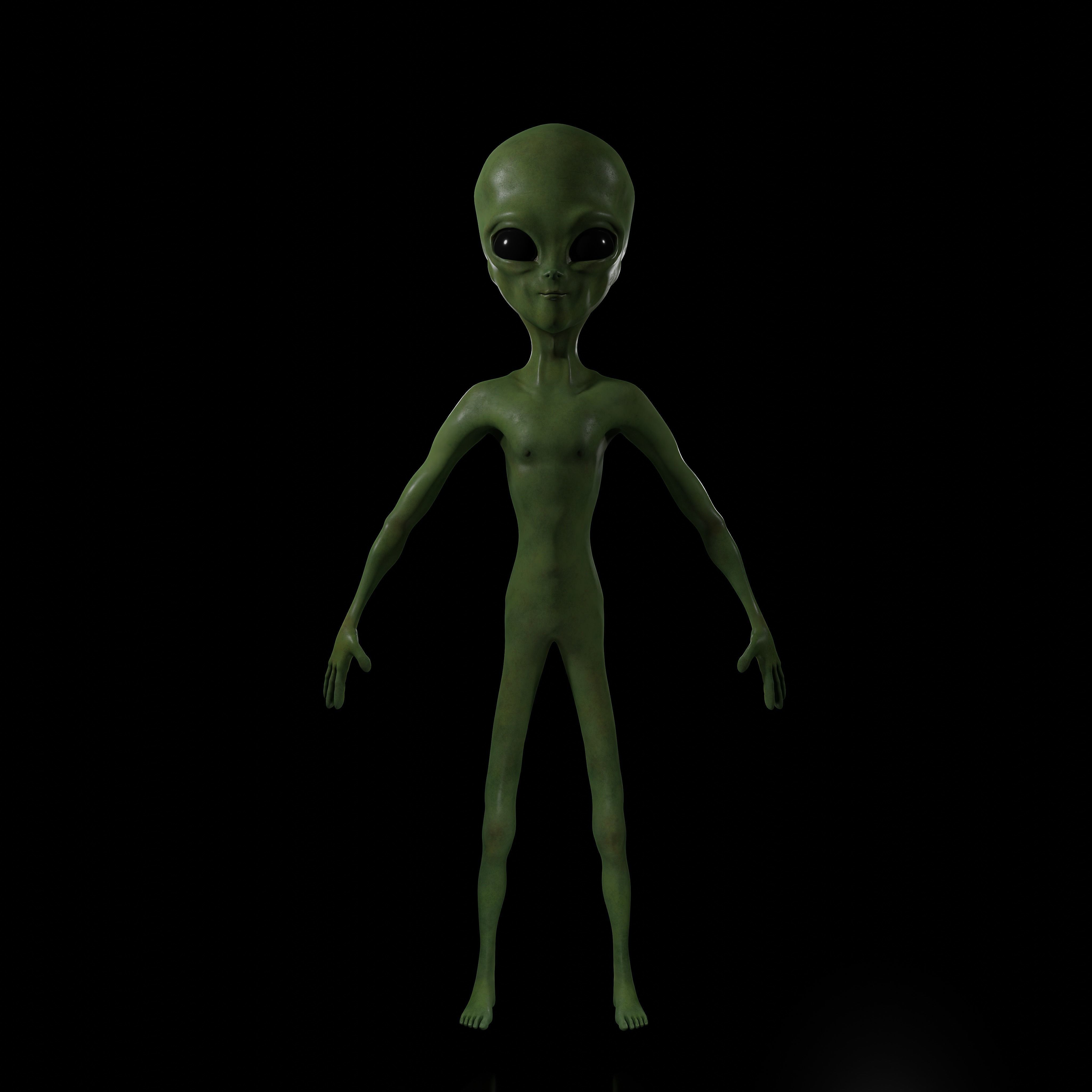 Realistic Alien 4k Rigged Low Poly Low-poly 3D model_6