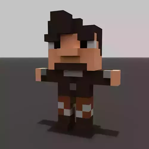 Rogue-like Man Voxel Character