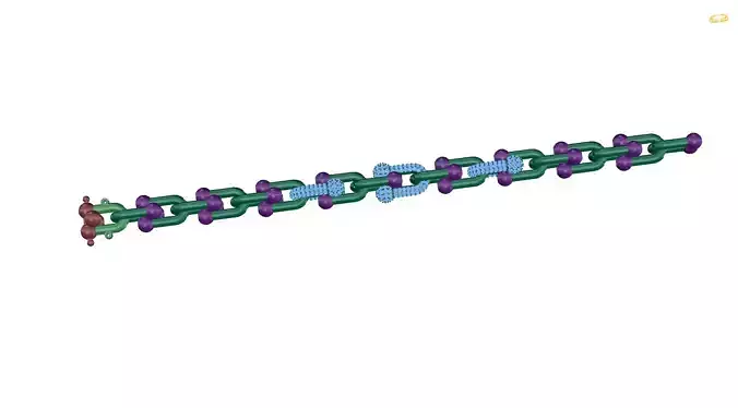 bracelet protein chain
