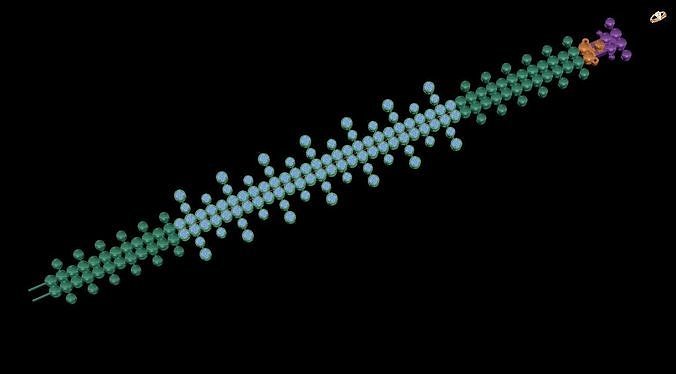 bracelet string of dots 3D print model