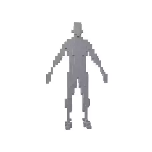 Voxel Man v1 001