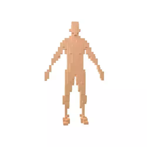 Voxel Man v1 005