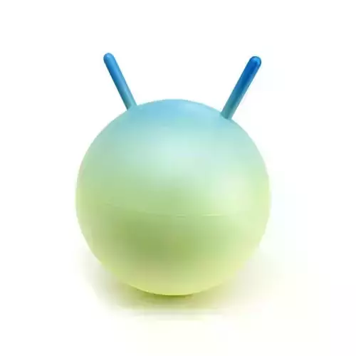 Childrens Bouncy Ball