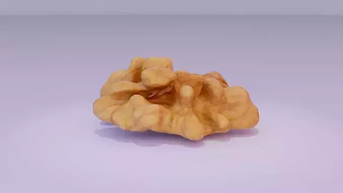 Walnut half kernel high-poly 3D model 3