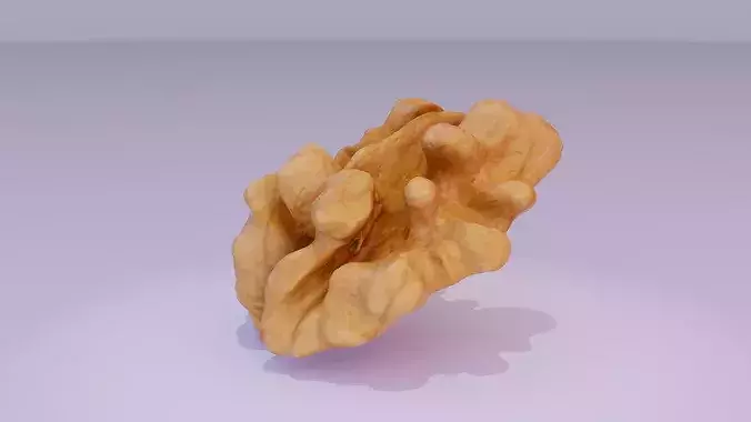 Walnut half kernel high-poly 3D model 7