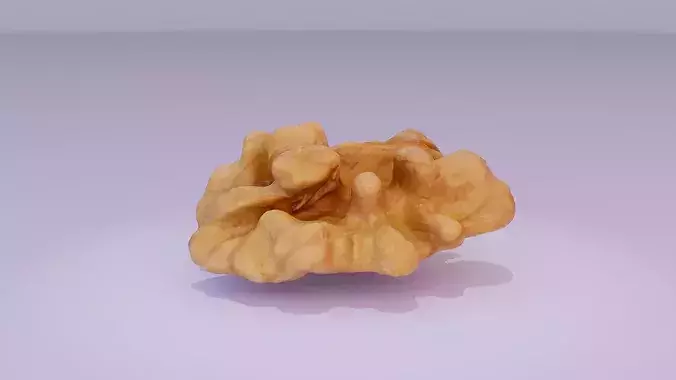 Walnut half kernel high-poly 3D model 5