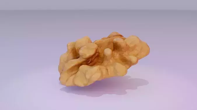 Walnut half kernel high-poly 3D model 6