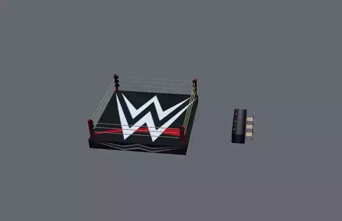 WWE arena