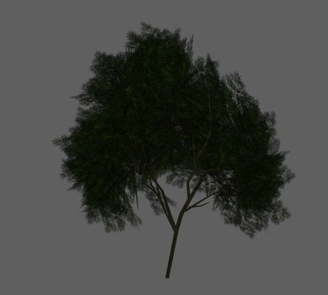 3D Low Poly Tree Low-poly 3D model_1