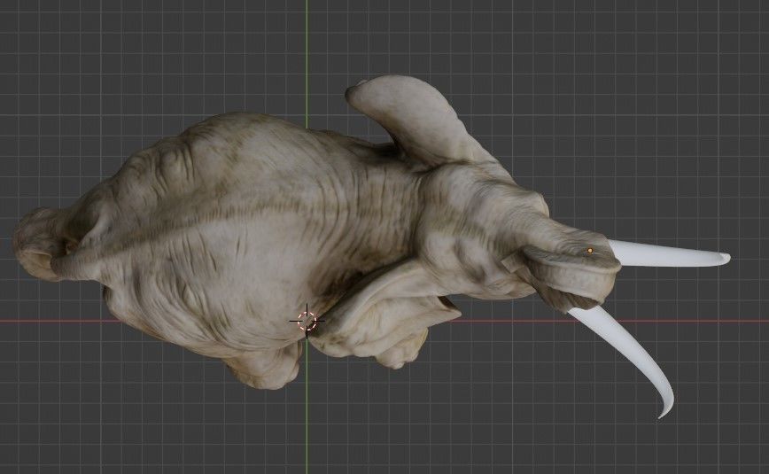 Elephant with tusks 3D model_10