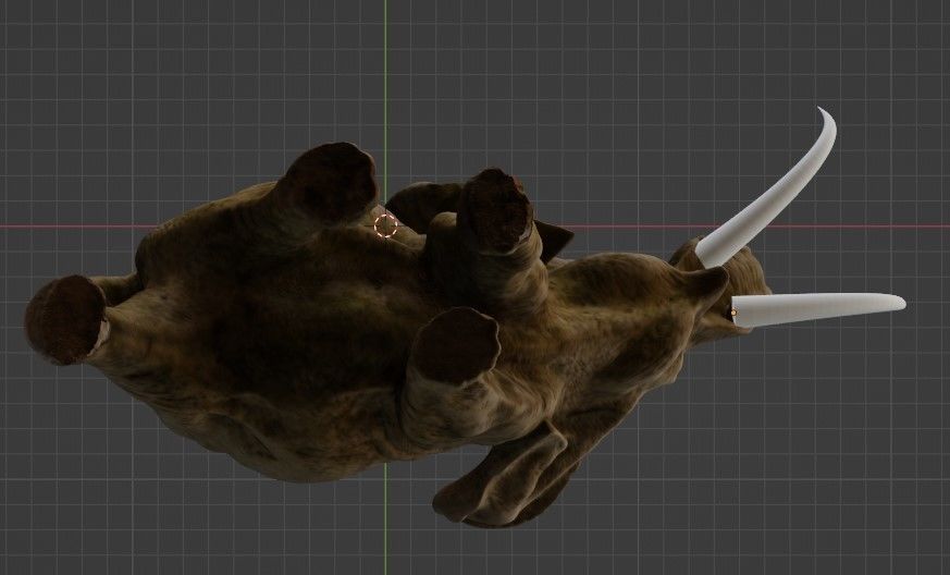 Elephant with tusks 3D model_11