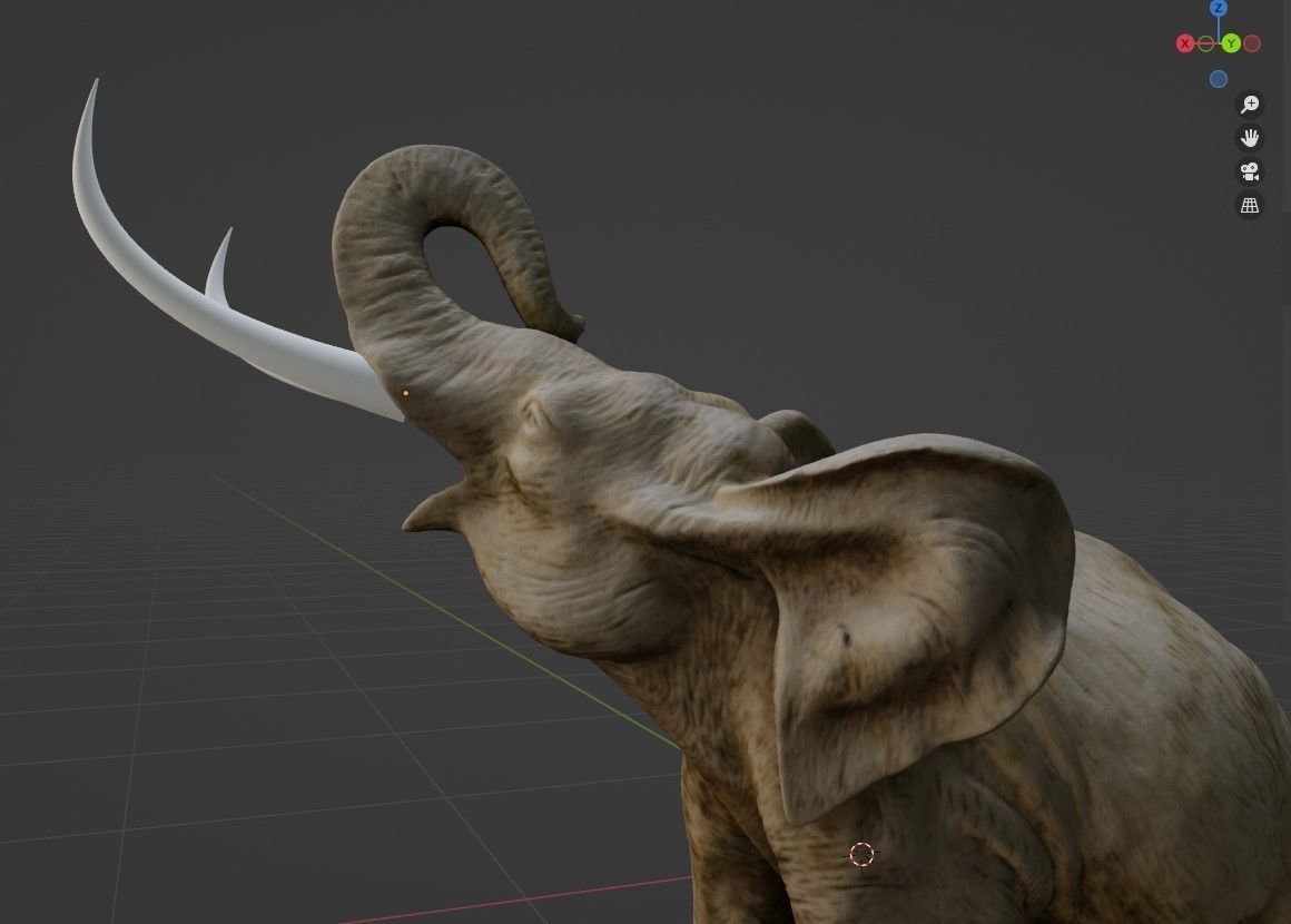 Elephant with tusks 3D model_7
