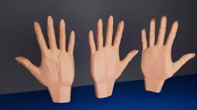 Realistic hand 3d model mannequin