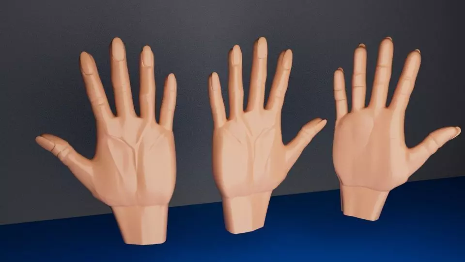 Realistic hand 3d model mannequin Low-poly 3D model_0
