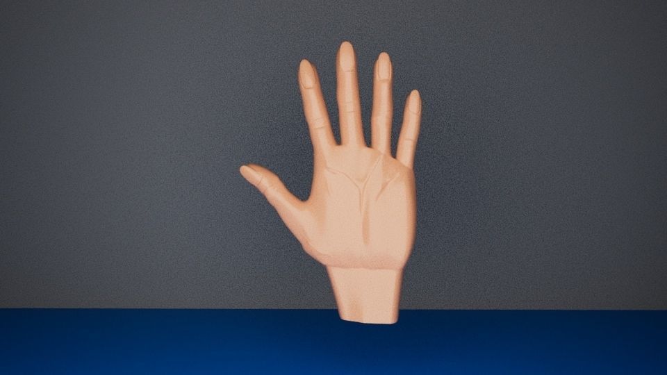 Realistic hand 3d model mannequin Low-poly 3D model_1