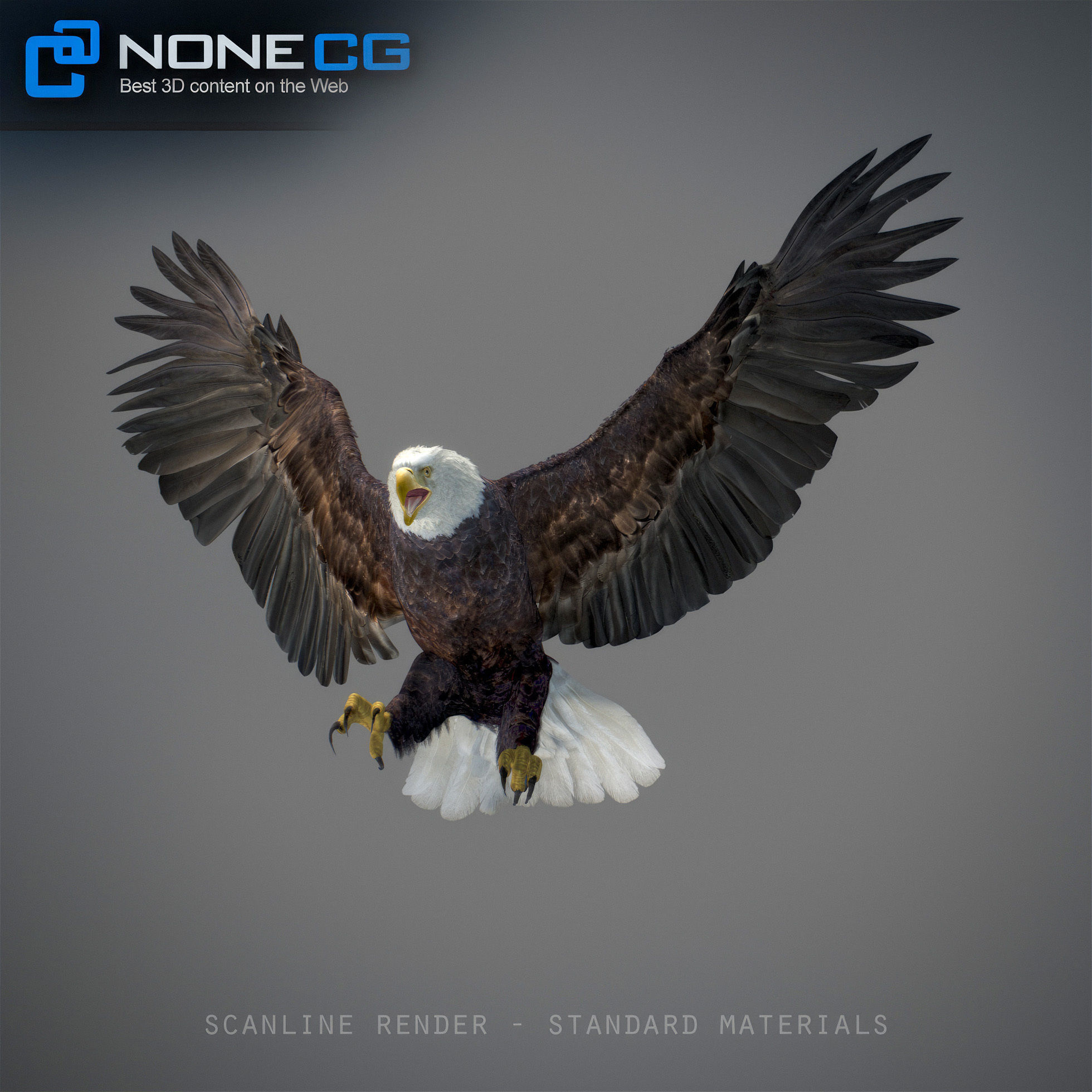 Animated Bald Eagle 3D model_23