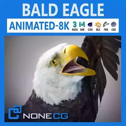 Animated Bald Eagle 3D model