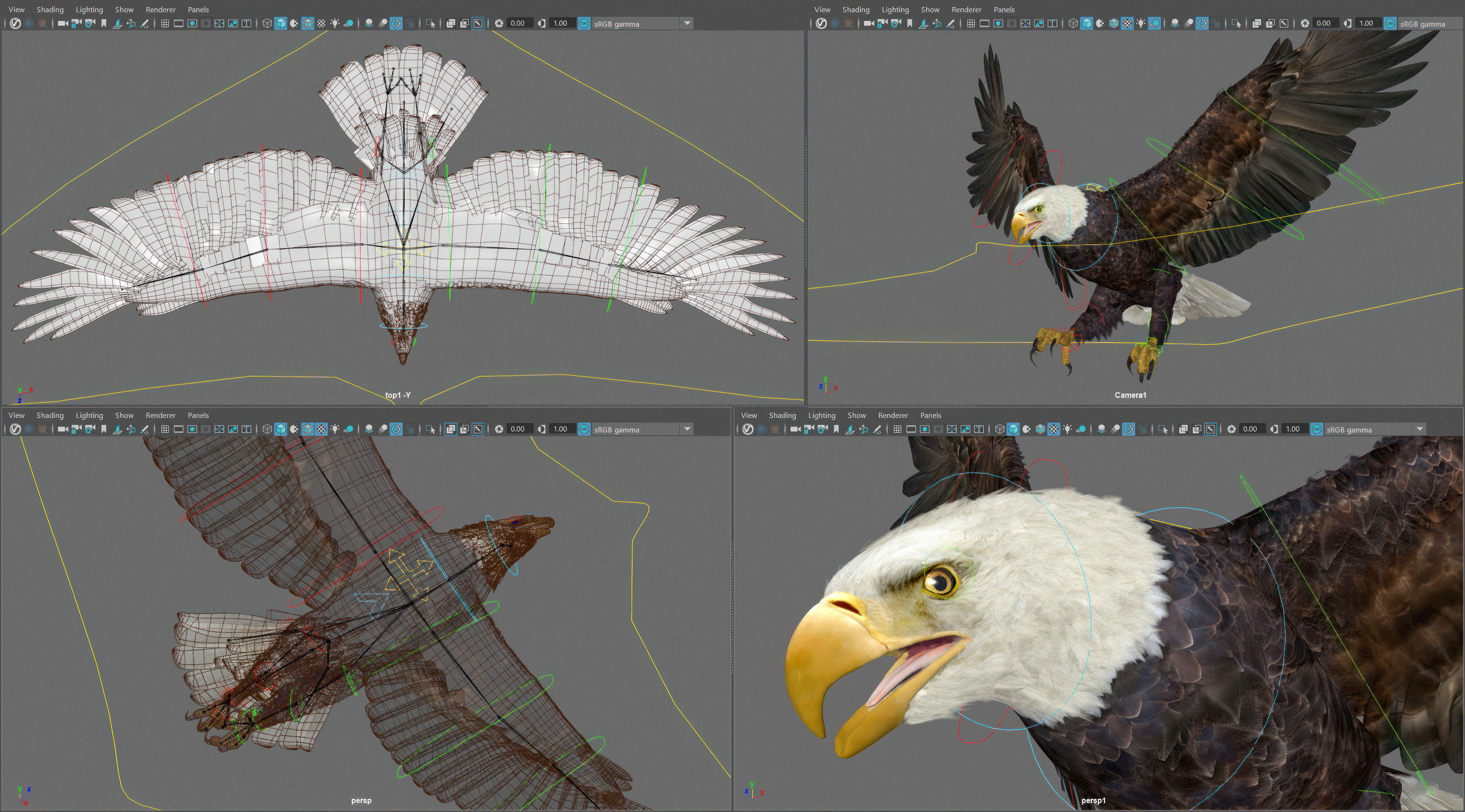 Animated Bald Eagle 3D model_7